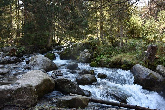 Hiking w Dolinie Kościeliskiej
